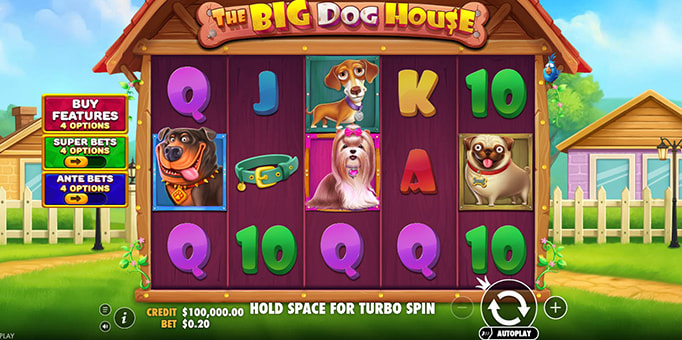 Screenshot from the New The Big Dog House by Pragmatic Play