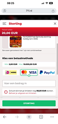 Casino Cashier with Visa Selected as Payment Method