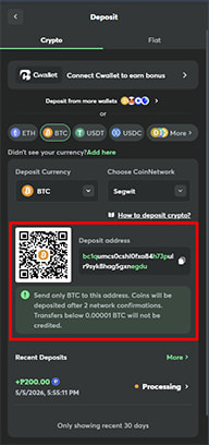 Casino Cashier with BTC Deposit Address and QR Code Highlighted