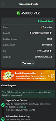 Casino Cashier with Deposit Transaction Details