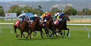 Horsemen participating in a horse race in Florida
