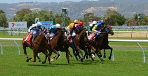 Horsemen participating in a horse race in Florida