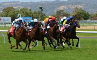 Horsemen participating in a horse race in Florida