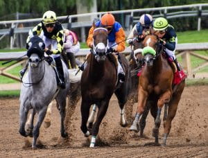 Jockeys riding five horses racing on a dirt track