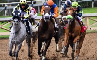 Horses racing