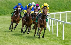 Horseplayers racing