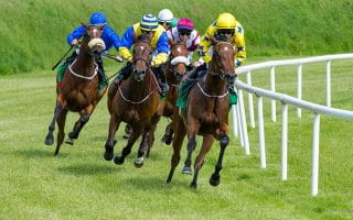 Horseplayers racing