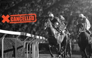 Horse Race with Sign “Cancelled”
