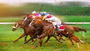 Four Horses with Jockeys in a Race 