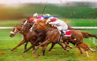 Four Horses with Jockeys in a Race