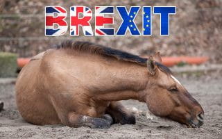 Brexit Sign Coloured as the UK and EU Flags Over a Lying Horse
