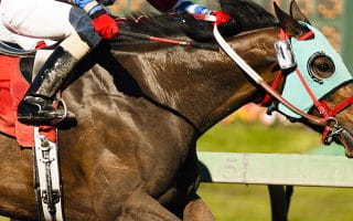 A Horse and a Jockey Duo Racing at Sports Betting Event in Australia