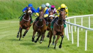 Horse Racing in Action 