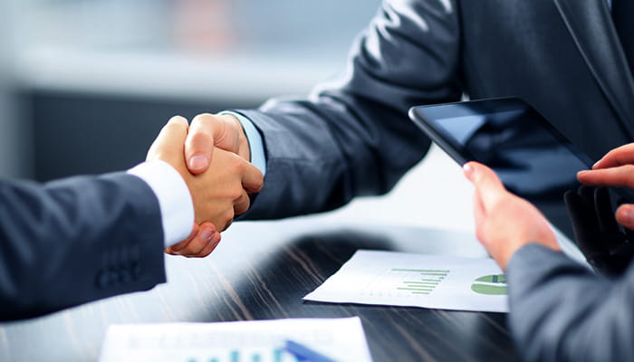 Businessmen Agreeing on a Project 