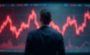 A person observing the financial market chart