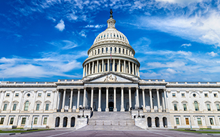 Image Showing the US Capitol Building