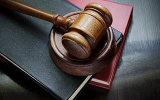 A Gavel and Some Books